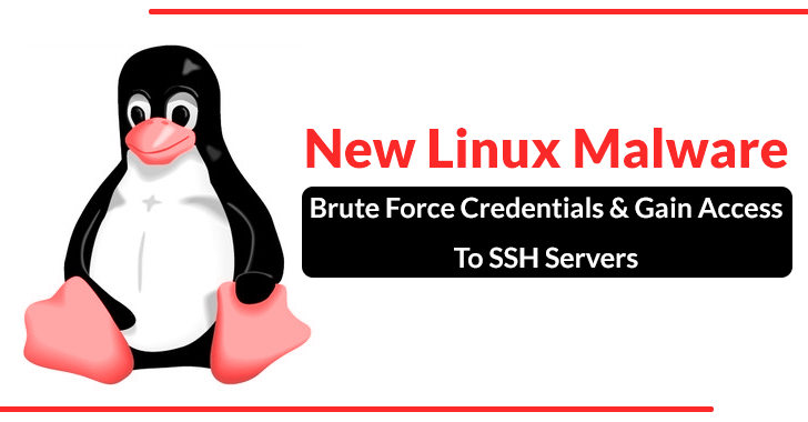 Original Linux Malware Brute Drive Credentials and Make Access to SSH Servers￼