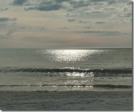 Untitled-1