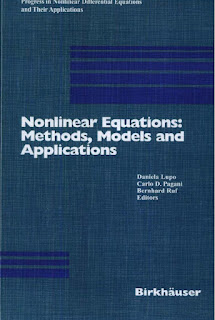 Nonlinear Equations Methods, Models and Applications PDF