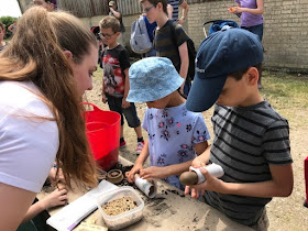 Planting seeds at Open Farm Sunday