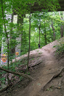 Addington Street Overpass in ravine near Earl Bales park