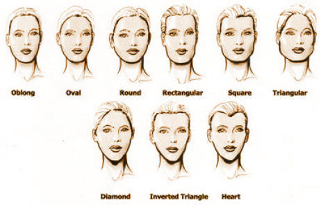 The image above shows some common face shapes people have.