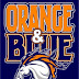 DENVER BRONCOS 2014 Motto..."Grab VINCE or BUST"...that's right MANNING Mile High and Lead Man FOX have more pressure on them as #7 gets #UnitedInORANGE loaded up like a CHICAGO Hot Dog (w/all the Fixins)...The "O" is Five-Star as the "D" adds "Beware of WARE", Safety WARD, and TALIB Island fresh off his stay with TOM, BOB, and BILL...BRONCOS picked by many to get out of the AFC again! #OrangeCrush #UnitedInOrange #BroncosNation #BroncosGang     