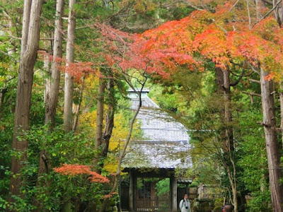  壽福寺の紅葉