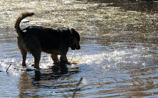 Rambo in the water. Again.