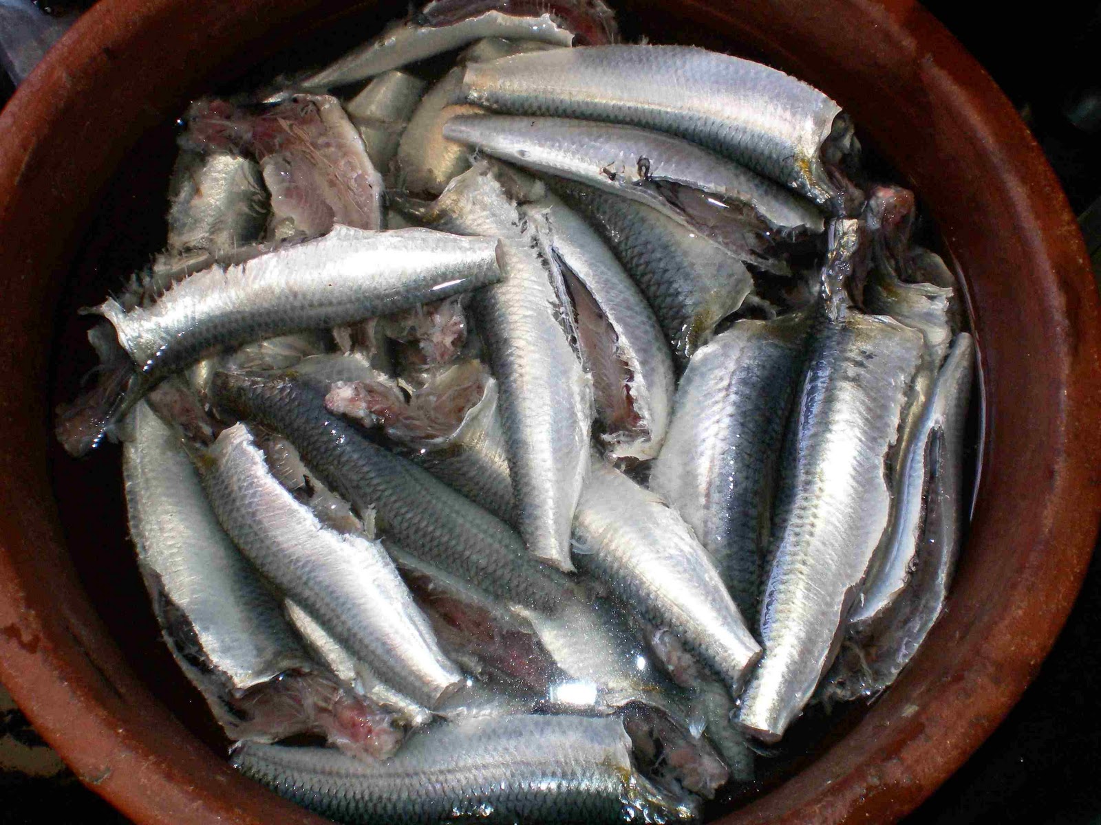 Foodie Delights Bangalore - Life n Spice: Sardine Cleaning!