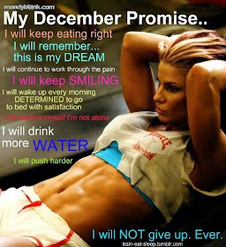 Healthy Holiday Survival Plan, stay fit during the holidays, Holiday Promise,  www.HealthyFitFocused.com 