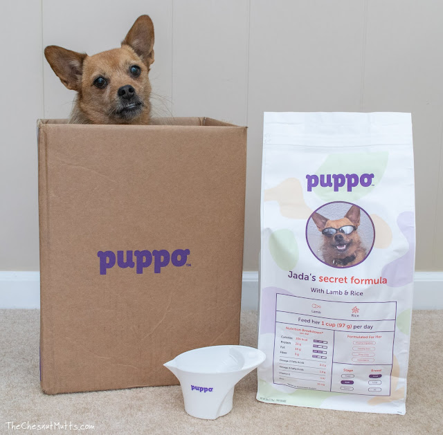 puppo custom dog food