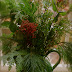 Christmas Vignettes Around the House