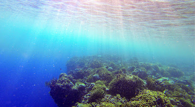 Lekuan dropoff Bunaken