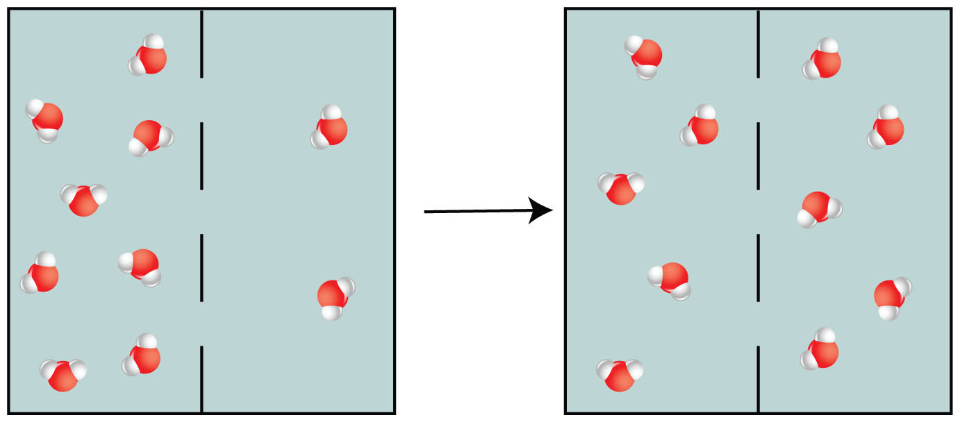 Living Environment: Diffusion and Osmosis