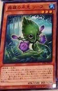 ShinranoMizusakiLeaf-LVAL ShinranoMizusakiLeaf-LVAL
