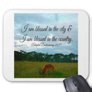 I am blessed in the city I am blessed in the country mouse pad