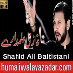 https://www.humaliwalayazadar.com/2016/08/shahid-ali-baltistani-nohay-2013-to-2017.html