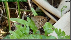 20140814_090658_058_YehLiu