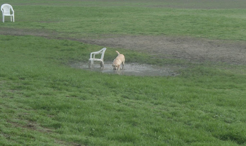 cabana standing in the middle of a big puddle