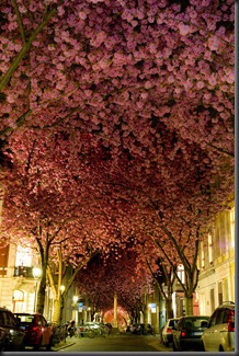 Street in Bonn, Jerman