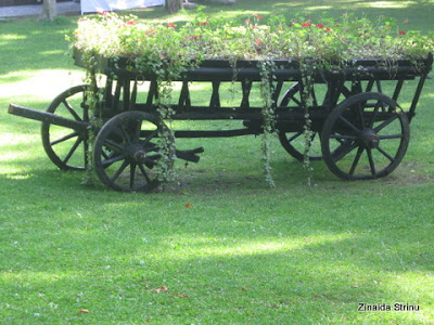 sinaia-parcul-d.ghica-aranjamente-florale-1