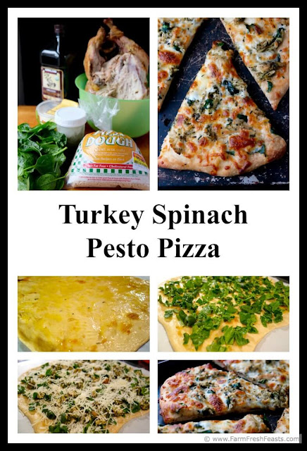 Cubed turkey tossed with pesto then used to top pizza with spinach and Manchego cheese. A tasty way to enjoy Thanksgiving leftover turkey!