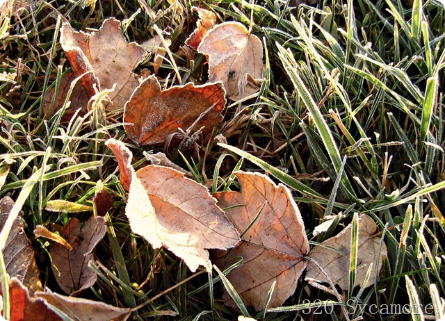 october 2011 052 1