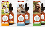 Free Sample of Flavored CBD Pet Tincture & CBD Dog Treats