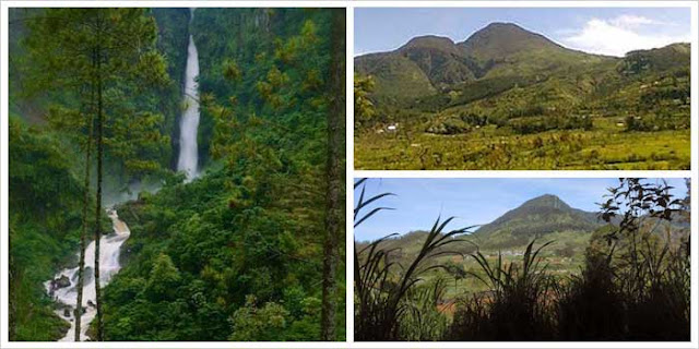 Wisata Pekalongan Gunung dan Curug Rogojembangan