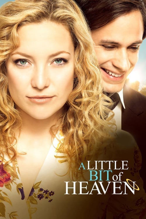 Download A Little Bit of Heaven 2011 Full Movie With English Subtitles