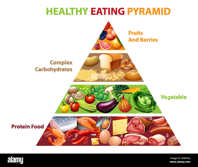 The food pyramid