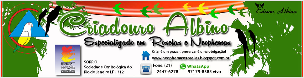 Criadouro Albino