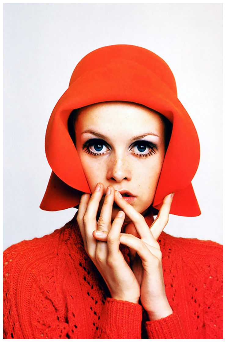 The Iconic Twiggy a visual diary of my life