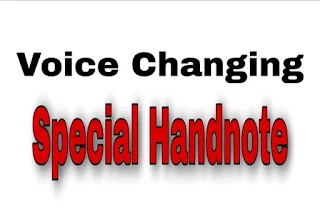 Voice Changing Hand Note PDf Download |Voice change rules PDF