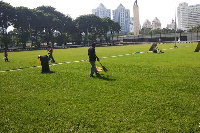 jasa tanam rumput lapangan sepak bola