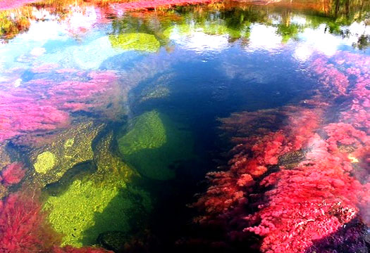 cano cristales