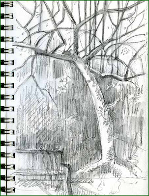 tree drawings pencil. Tree+drawing+with+roots