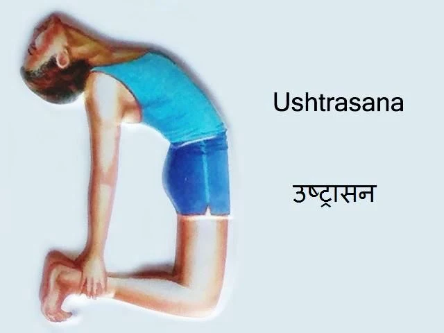 Ustrasana: Ustrasana in Hindi