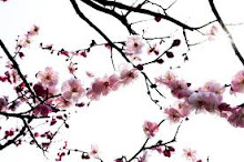 Ma photo