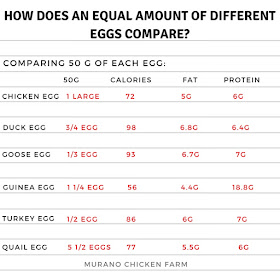 comparison of egg types