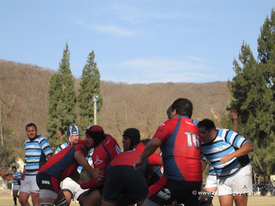 tiro federal suri rugby