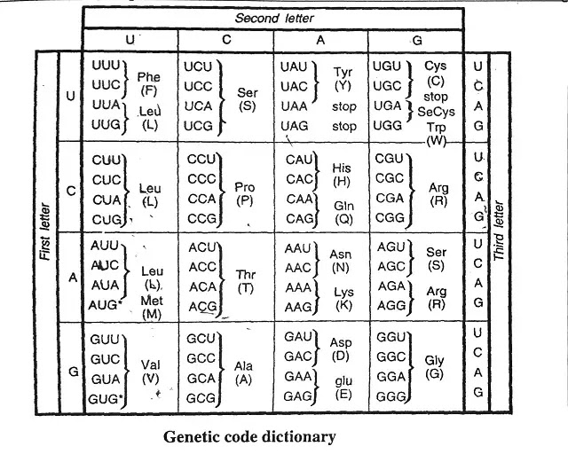 What is Genetic code? : definition, Classification