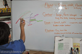 Drawing Diagrams of Feathers