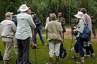 Gorilla Trekking Safari In Summer