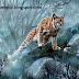 Medium wild cats and wild lynx found in the world