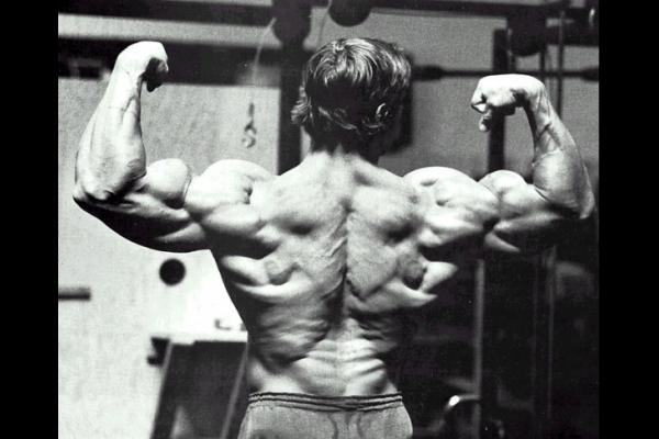 عضلات ظهر ارنولد شوارزنيجر