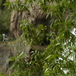View album