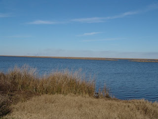 Marsh at Audubon's Rainey Sanctuary by Mark Musselman