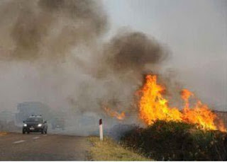 Incendi in Sardegna - www.unionesarda.it