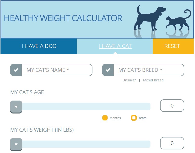 Daftar Berat Badan Ideal Kucing Berdasarkan Ras Dan Umurnya 