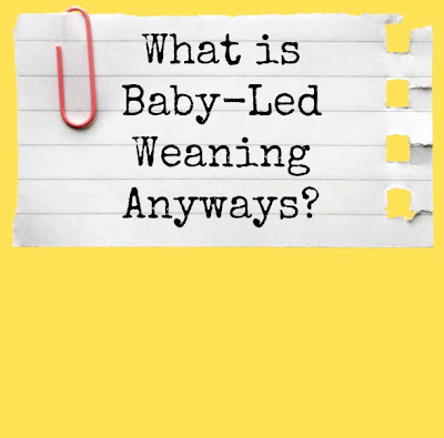 What is Baby-Led Weaning Anyways?