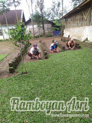Kami sebagai penyedia jasa layanan tata kelola taman sebagai  Nih Jual Rumput Taman Gajah Mini Harga Murah Surabaya