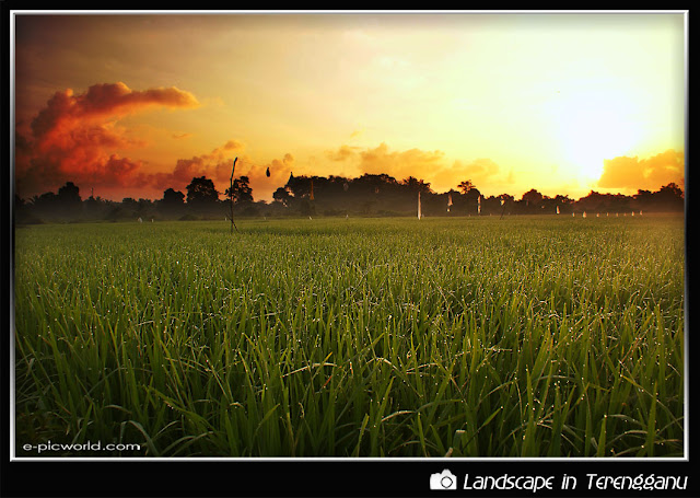 sunrise at tualang picture